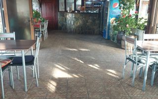 CASĂ\VILĂ DE VÂNZARE \COM. OBREJA\SAT IAZ\CARAȘ-SEVERIN - Poză 19