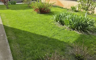 MOGOȘOAIA – VILĂ CU 4 CAMERE, TEREN 971 MP, CURTE ȘI GRĂDINĂ! - Poză 17
