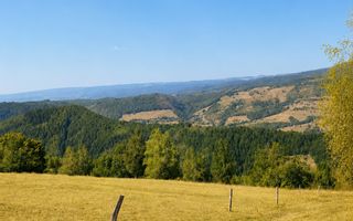 Casă de vacanță Bulz - Poză 6