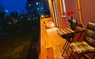 Apartament la casa, curte privata, Ferventia- padure. COMISION ZERO! - Poză 35