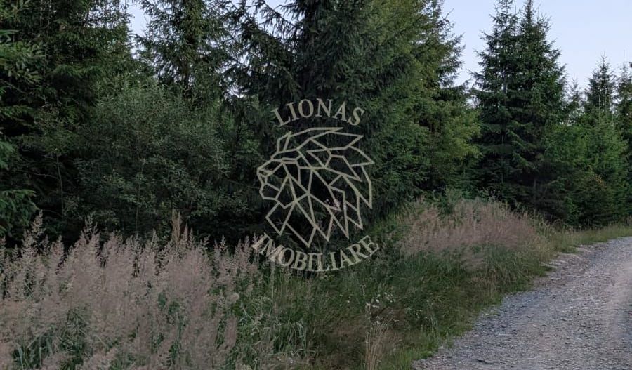 Teren 19,500 mp (1,95 Ha)-curent-ideal cabane-Colibita - Poză 3