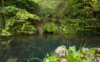 Domeniu în satul Căprioara - Poză 15