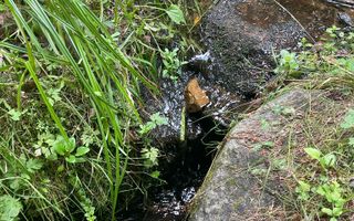 COMISION 0 20.000 MP TEREN EXTRAVILAN CU PADURE ZONA TURISTICA VISAGU VLADEASA - Poză 4