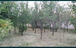 Ocazie Unica-2 Case+1 loc teren - Poză 4