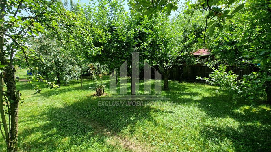 Teren intre Alba-Micesti, partea dreapta - Poză 6