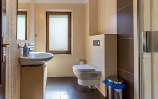 9 camere, 5 bai, spatiu hobby, gradina, garaj,locatie buna - Poză 23