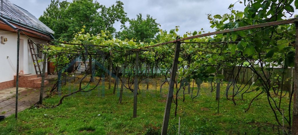 Casă bătrânească locuibilă. - Poză 3