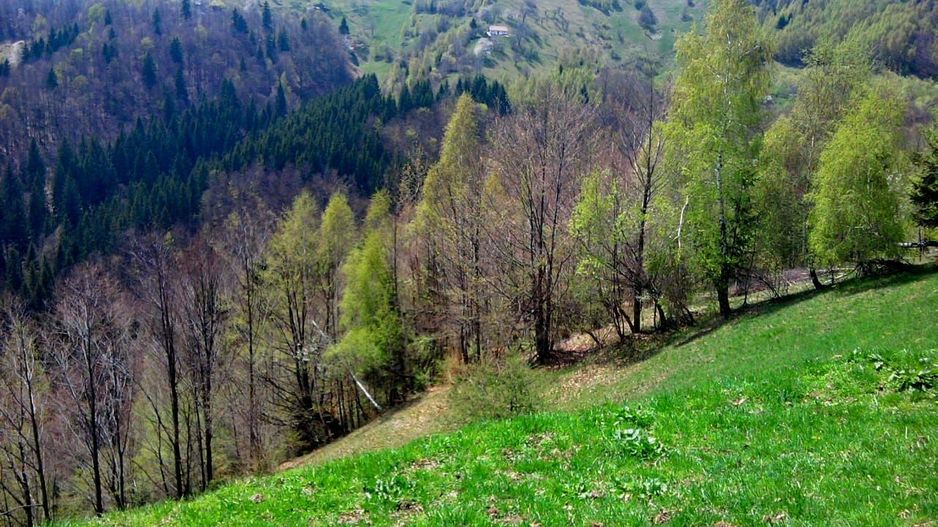 teren intravilan in zona Magura Bran - Poză 23