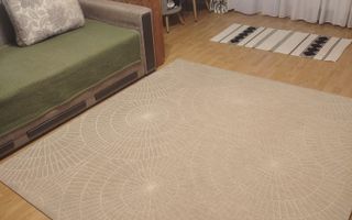 3 camere, etaj 1, garaj – Regele Ferdinand - Poză 2