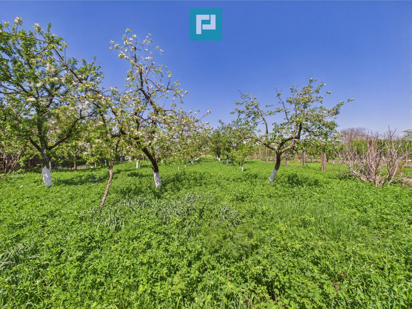 Vilă cochetă 4 camere P+M în Munar - Poză 25