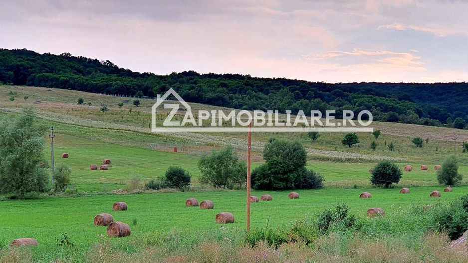 Teren intravilan 50 ari,Livezeni,iesire catre Ivanesti,28 eu/mp - Poză 2