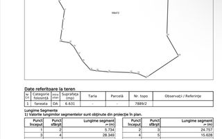 Platou montan, 6631 mp intravilan, electricitate,  langa pădure - Poză 8