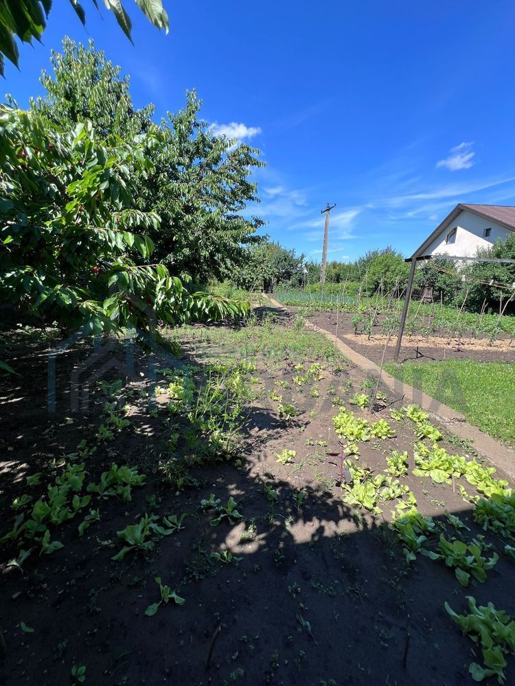 Vanzare casa Dancu, 4 camere, 276 mp, teren 1500 mp - Poză 2