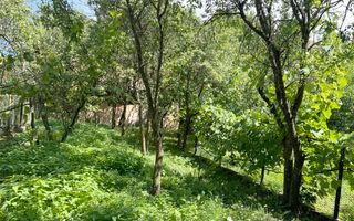 Casa individuala in Com. Capusu Mare/Sat Dumbrava. - Poză 8