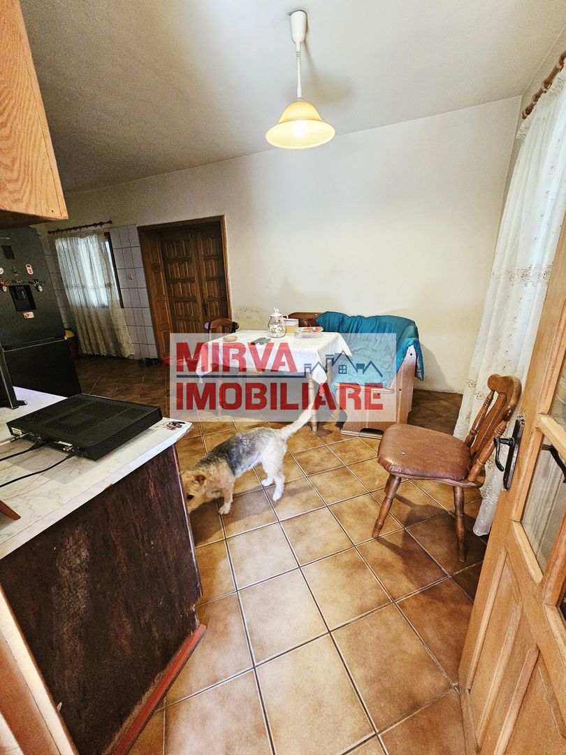 Vanzare proprietate mixtă – Casă + spațiu birou, Ultracentral - Poză 53