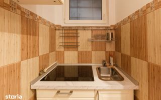 Garsoniera in AIRBNB I Cismigiu I Parter I 1961 - Poză 9