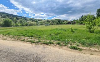 Teren intravilan Vladesti - Poză 10