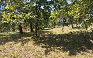 Teren intravilan 2828 mp+autorizatie casa-anexe-livada-Dorolea - Poză 2