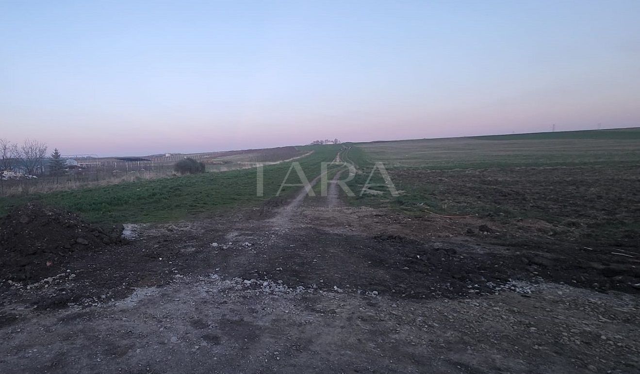 Teren generos în Jucu de Mijloc – ideal pentru constructii. - Poză 1