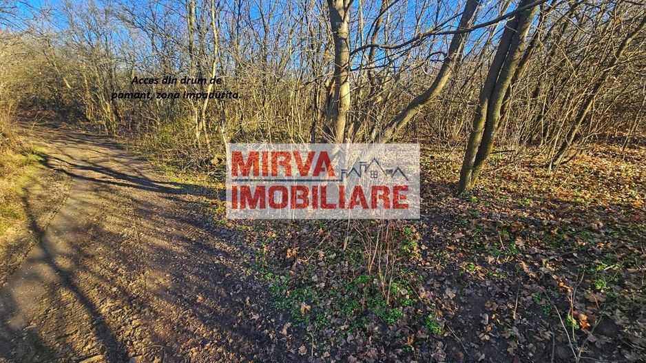 Teren intravilan 1.000 mp – Seciu, 2 deschideri, Priveliște panoramica - Poză 13