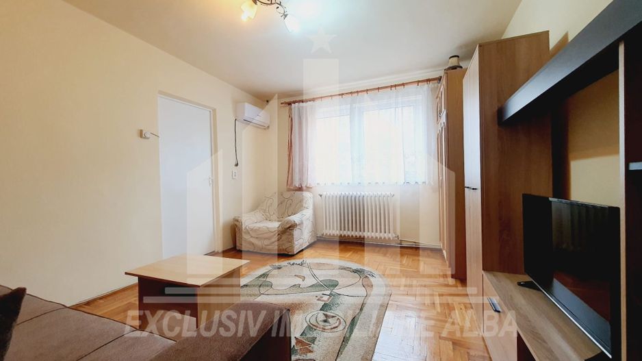 Apartament cu 1 camera de inchiriat, etajul 2, Cetate - Poză 2