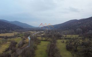 Teren 36000 m2, intravilan+partial extravilan, cadastru, Draganeasa PH - Poză 5