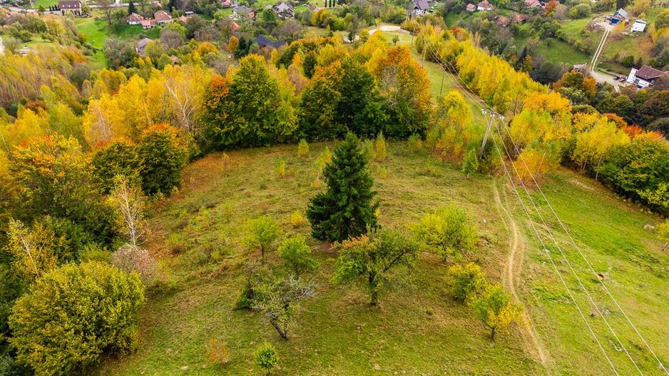 In arena Parcului Natural Piatra Craiului, Magura, Moieciu, Brasov - Poză 3