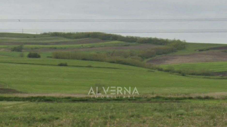 COMISION 0% - Teren extravilan 2.900mp - cadastrat - Gadalin / Jucu - Poză 7