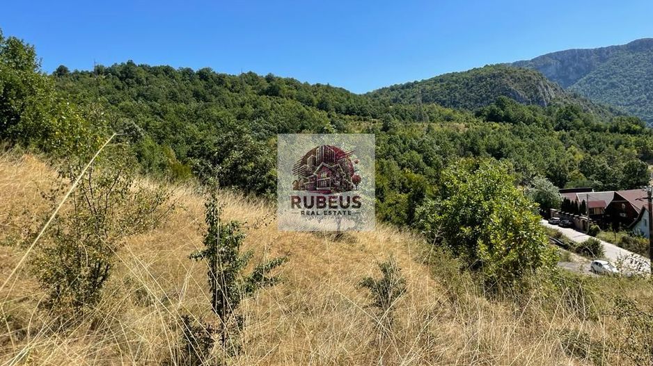 Teren intravilan 2.580 mp Eșelnița, acces DN57, ideal turism, locuinte - Poză 12