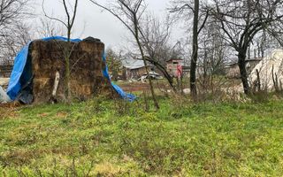 Teren intravilan 3367 mp cu casa demolabile 54 mp puț existent! - Poză 8