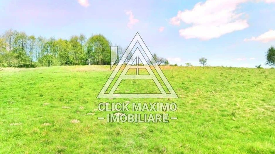 25.000 mp TEREN Ciucea – Calea Lata, jud. Cluj - Poză 2