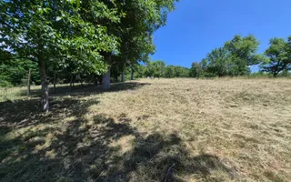 Casa individuala cu teren generos – 8.356 mp – Tichindeal, jud. Sibiu - Poză 46