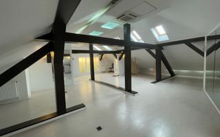 VILA SUPERBA LA INCHIRIERE PRETABILA CA SPATIU DE BIROU SAU REZIDENTA - Poză 36