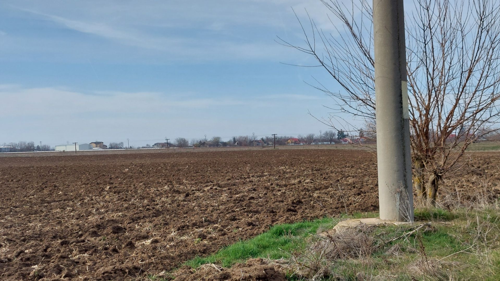 Teren 5,000mp Moara Vlasiei / Strada Morii - Poză 3