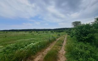 Loturi de teren intravilan 300 mp - Andronache - Poză 2