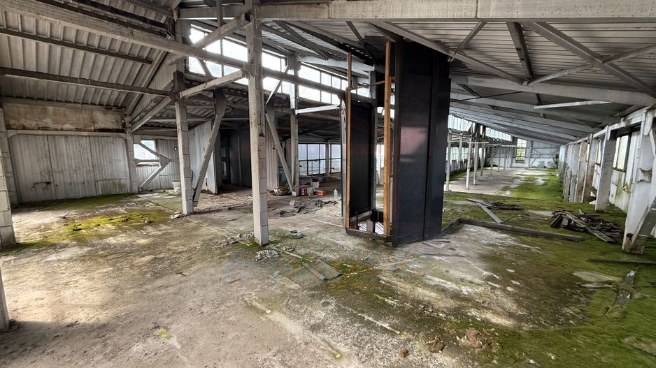 Hala In oras str Traian eligibil program "Tranzitie Justa" - Poză 4