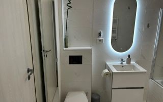 Apartament 3 camere zona Parcul Carol - Poză 7