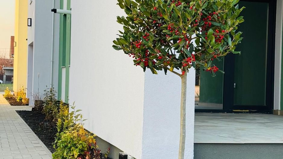 Apartament 3 camere la parter cu gradina proprie - Poză 14