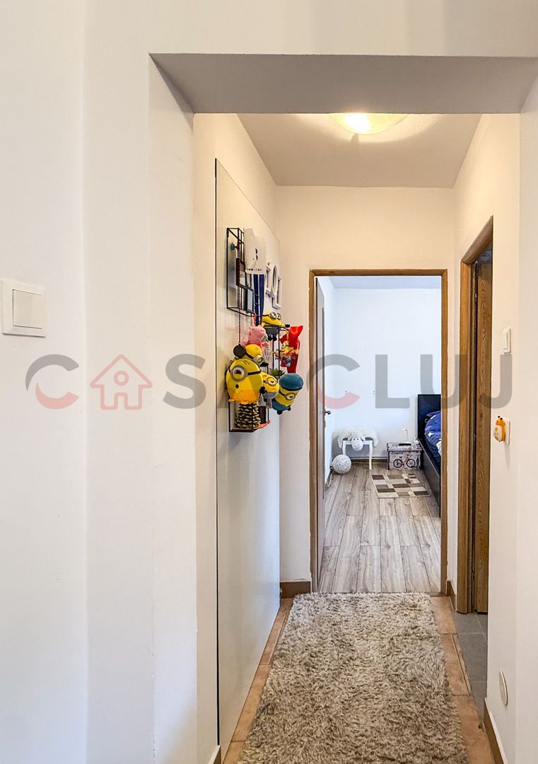 2 camere cu vedere spre Somes, Grigorescu - Poză 4