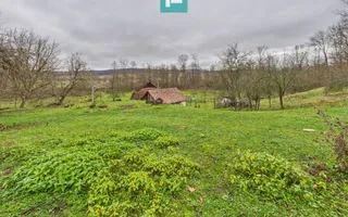 Casă cu teren de 24.679,73 mp, în Hălmagiu, Arad - Poză 15