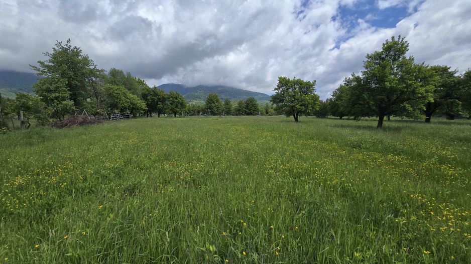 Teren intravilan Vanzare Parcelat - Poză 6