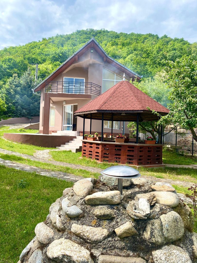 VILA DE LUX ESELNITA CLISURA DUNARII - Poză 1