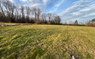 TEREN INTRAVILAN GENEROS | 72 ARI | GALANESTI - Poză 4