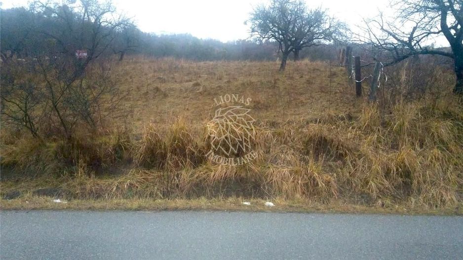 Teren 1300 mp limita cu intravilanul-ideal investitie/cabana-Unirea - Poză 1