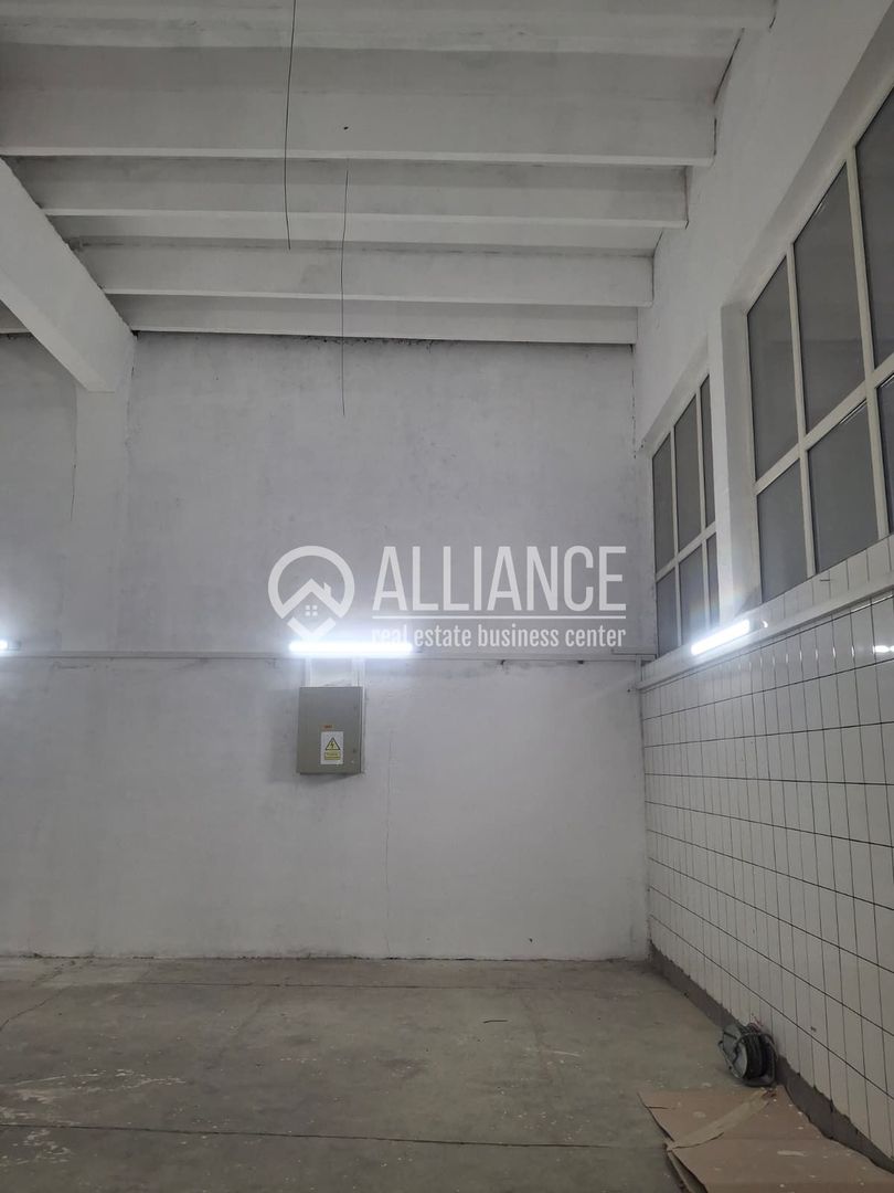 ZONA INDUSTRIALA (COD04)-Hala 270 mp ideal service auto - Poză 11