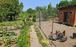 Proprietate cu potențial mixt – locuință și spațiu de lucru în Partoș - Poză 32