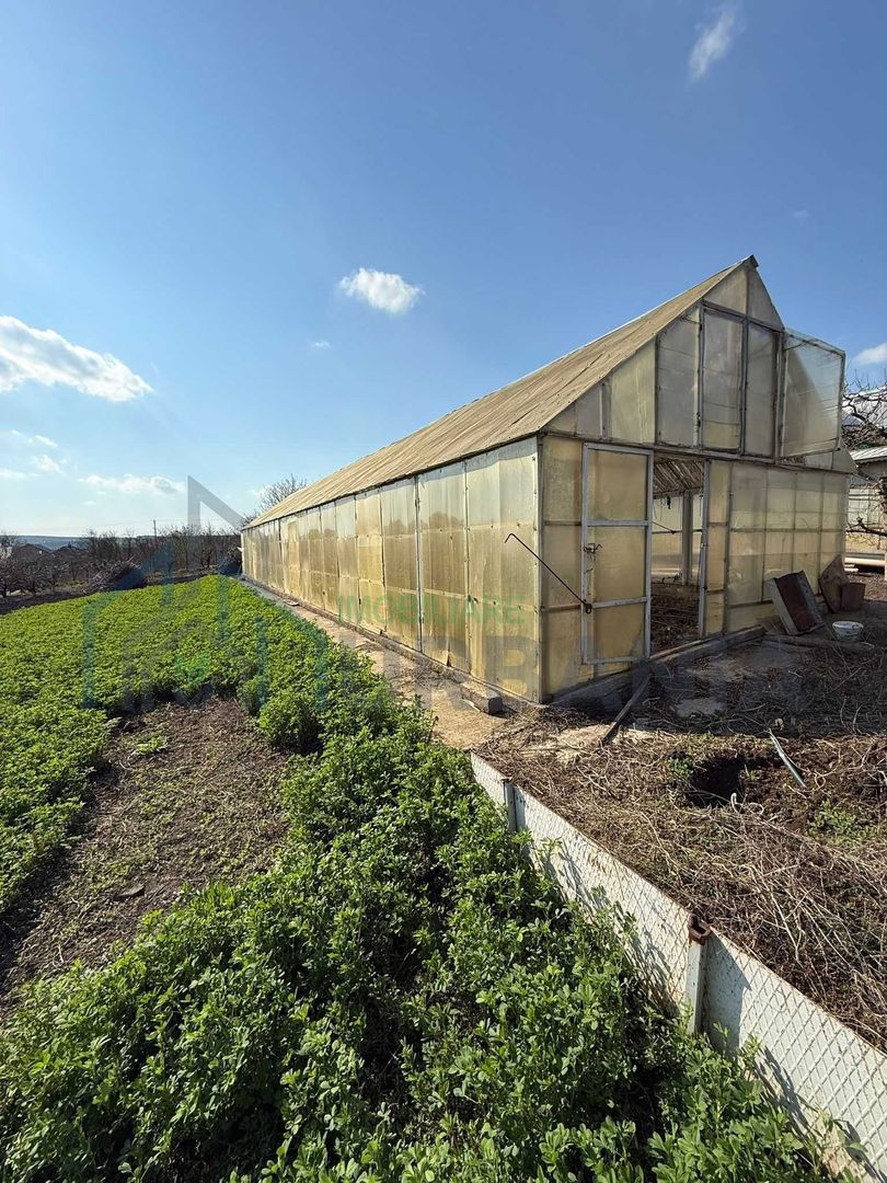 Teren cu seră și vie, Belcești, Iași - Poză 2