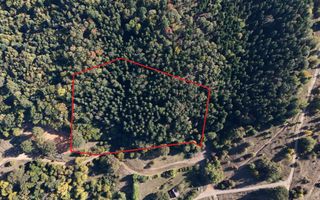Aproape de Brașov, departe de agitație - Teren cu pădure în Cristian - Poză 3
