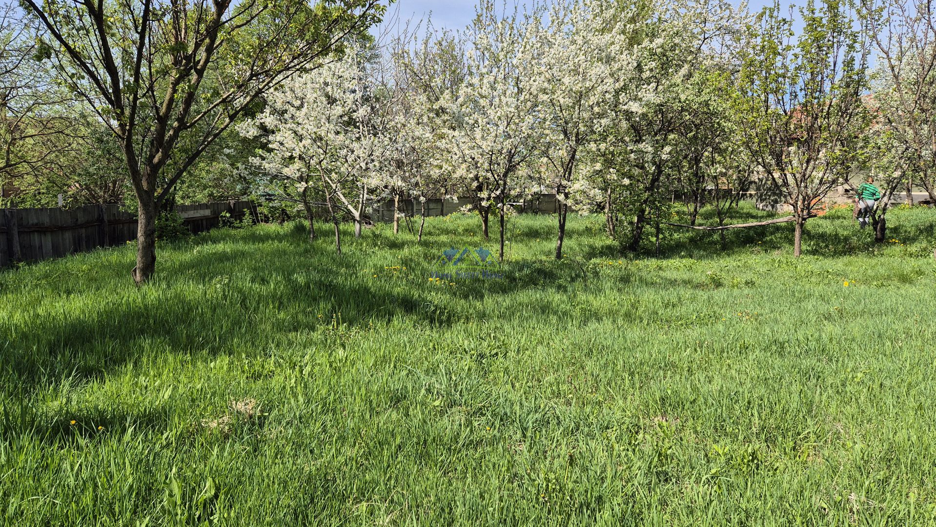 Vand casa 2 camere, 90mp, Silvasul de Jos, teren 1295, deschidere 62m - Poză 6