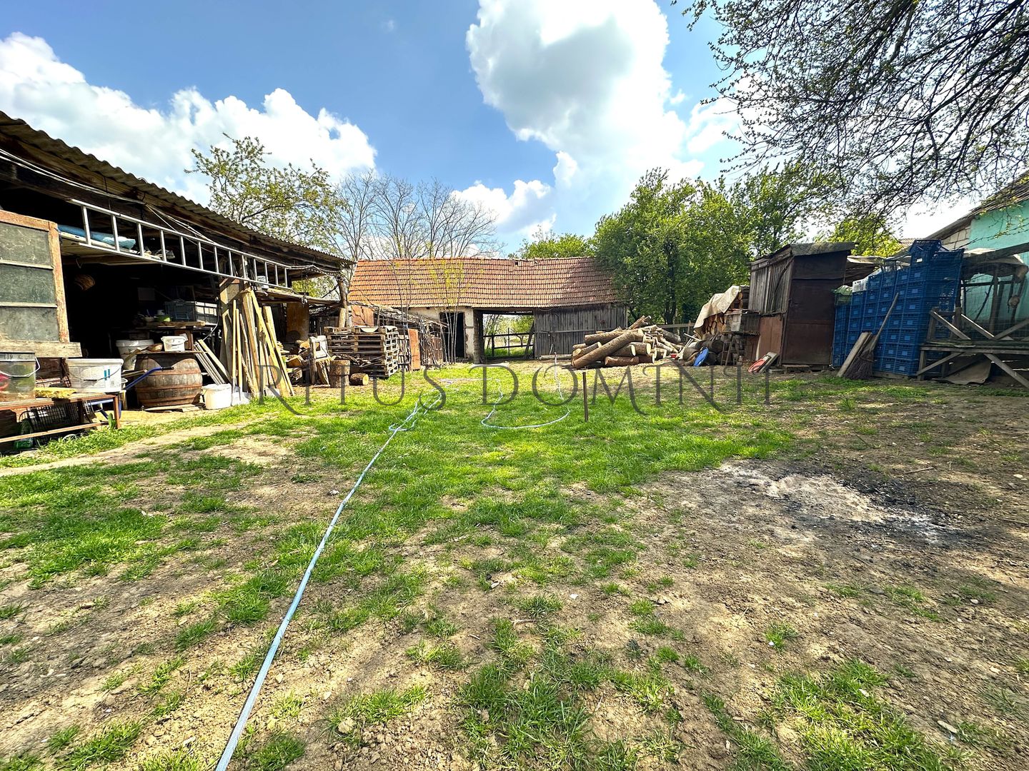 Teren Intravilan de Vânzare, Cetariu, 5450mp - Poză 6